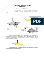 teoria-do-voo-1