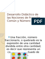 Desarrollo Didáctico de Las Nociones de Fracción Común