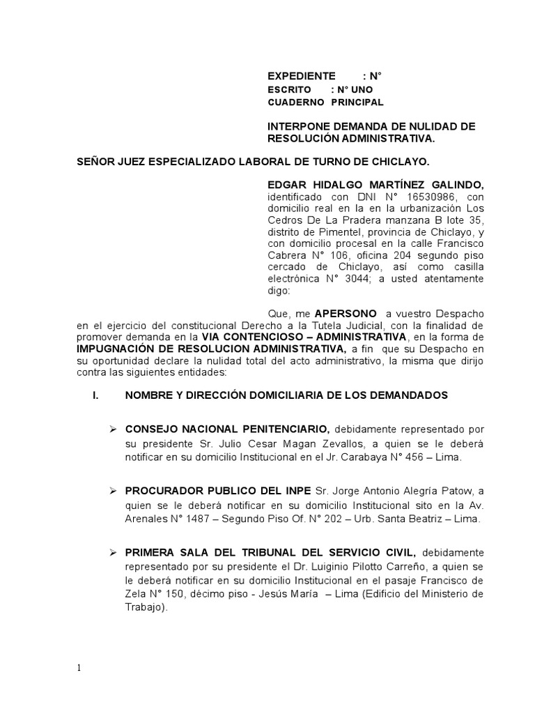 Demanda Contencioso Administrativa Nulidad de Resolucion 