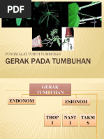 Download 06 GERAK PADA TUMBUHAN by M Farkhan Habib SN29585703 doc pdf