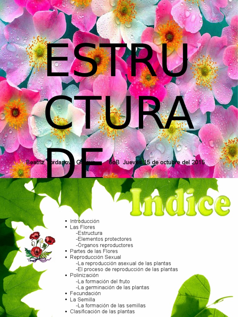 Estructura y Reproducción de Flores | PDF | Flores | Plantas