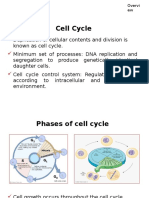 CMP Cell Cycle