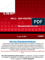 ciesp_nr_12