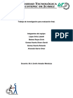 Investigacion Final PDF