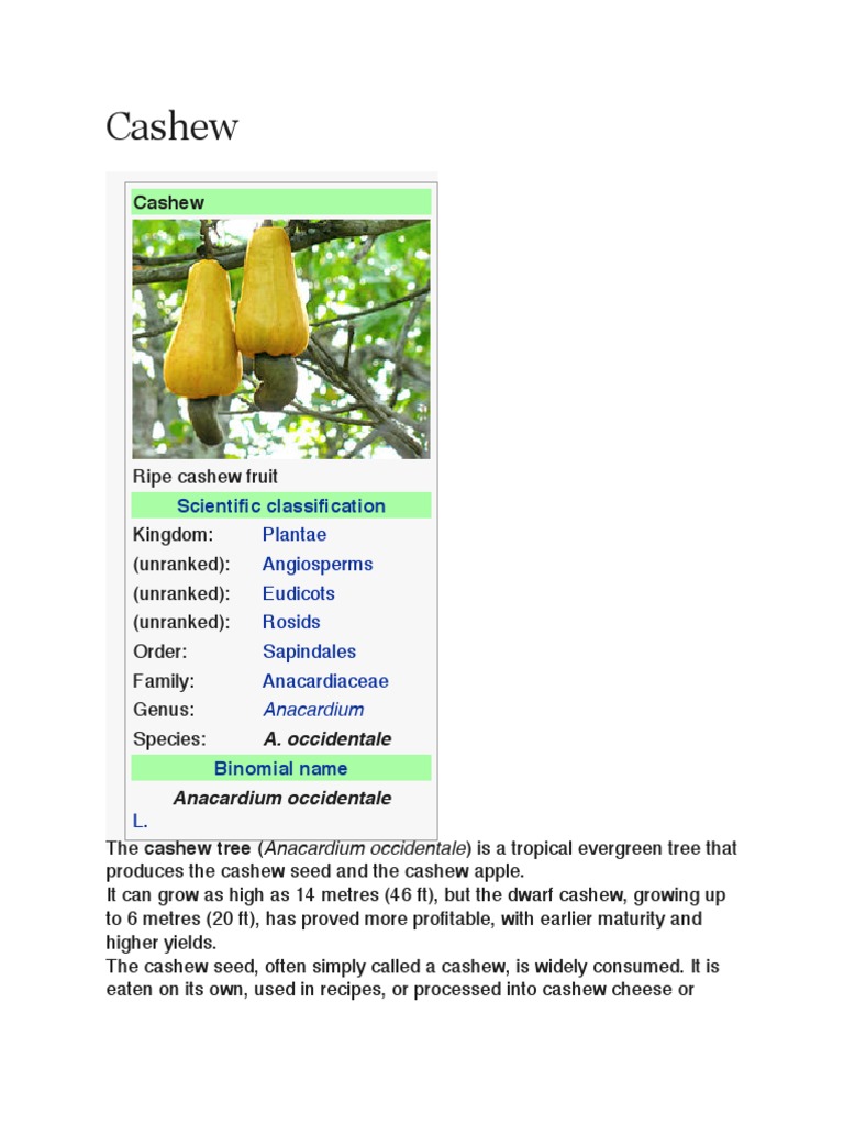 Cashew Apple Food And Drink Food & Wine