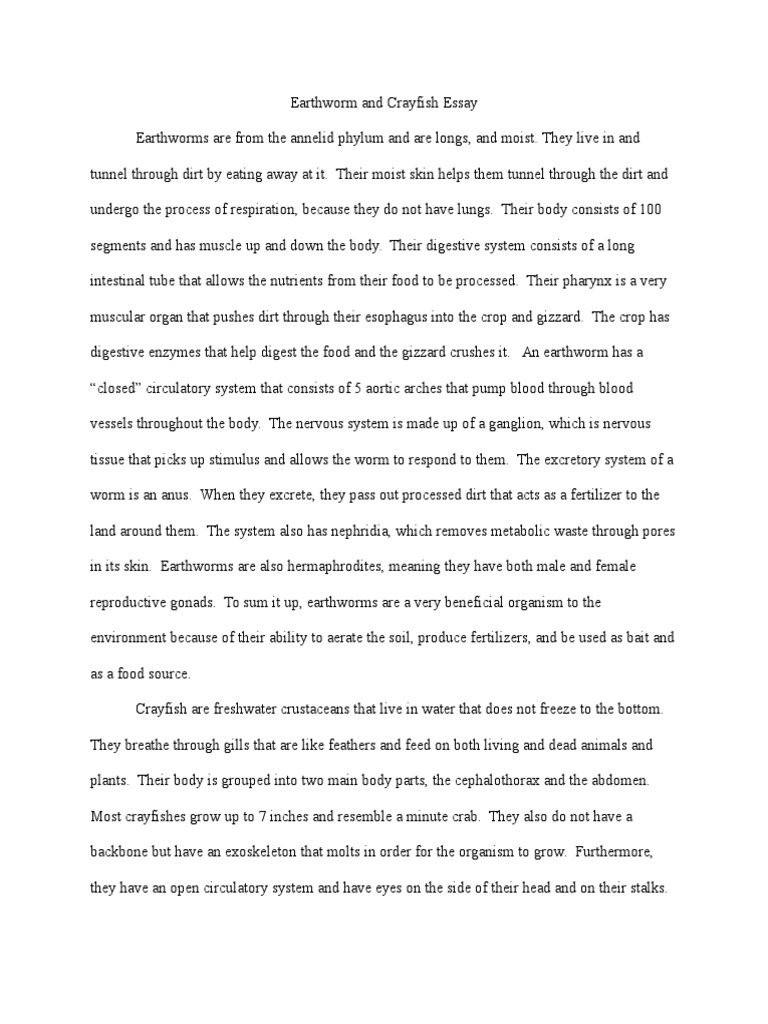 Book worms insects picture