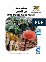 Plants of Yemen 1