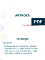 Artroza PDF