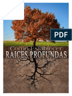 Seminario Raices Profundas