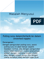 Masalah Menyusui