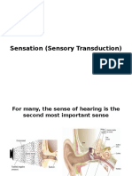 Sensation (Sensory Transduction)