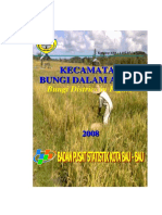 Bungi 2008