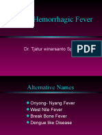 Dengu Fever