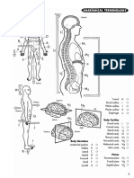 Anatomy Coloring Workbook[1]