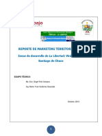 Reporte Marketing 012013 OSEL La Libertad PDF
