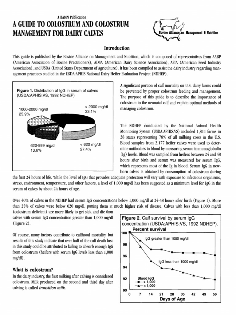 A Guide To Colostrum and Colostrum Management For Dairy Calves Dairy