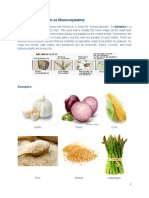 Monocot and Dicot