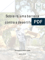 Relatório Desertificação