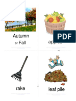 Autumn Flashcards