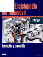 Enciclopedia de Inyección PDF
