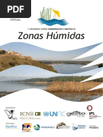 1o Semina Rio Zonas Hu Midas