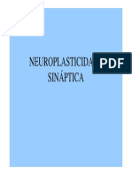 Aula 10 Neuroplasticidade Da Aprendizagem