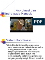 Sistem Koordinasi Dan Indra Pada Manusia