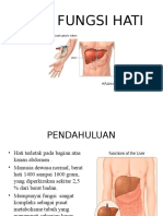 Fungsi Hati