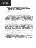 Plan Afaceri Salon Infrumusetare