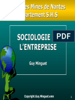 SOCIOLOGIE DE L'ENTREPRISE - Modèle de La Contingence Structurelle