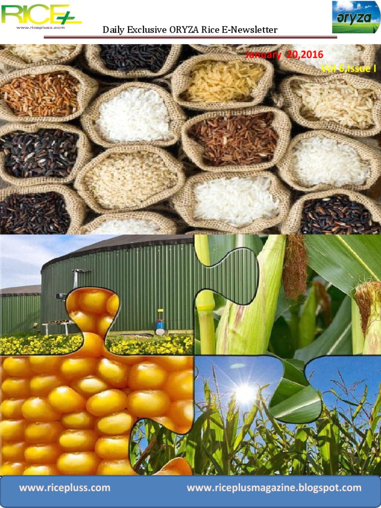 20 TH January, 2016 Daily Exclusive ORYZA Rice E-Newsletter by Riceplus ...