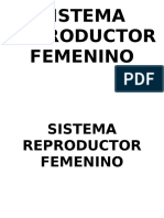 Sistema Reproductor Femenino