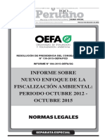 INFORME SOBRE NUEVO ENFOQUE DE LA FISCALIZACIÓN AMBIENTAL