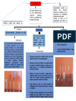 Mapa Mental de Las Reacciones