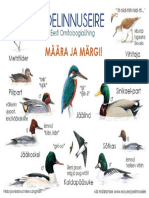 Birds (Joelinnuseire) Poster