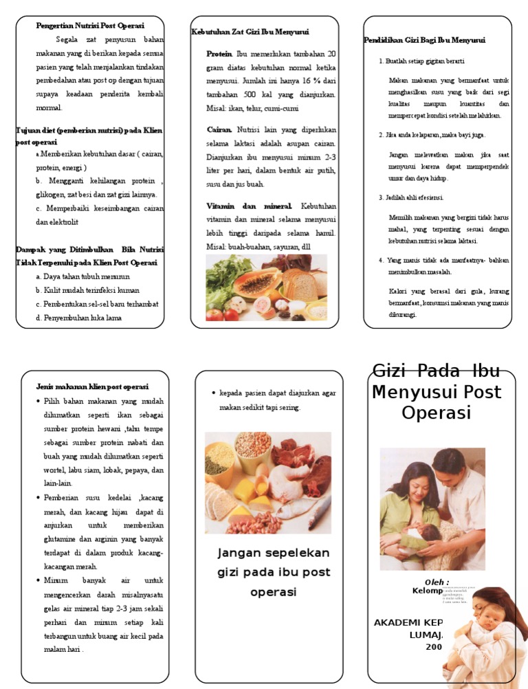 Leaflet Gizi Ibu Menyusui baru