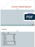 Dispozitive Periferice - PPTX Tic