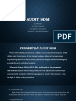 Audit SDM