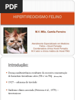 Hipertireoidismo Felino