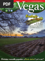 Download Revista ViveLasVegas 3 by Ayto Vegas del Genil SN296187018 doc pdf