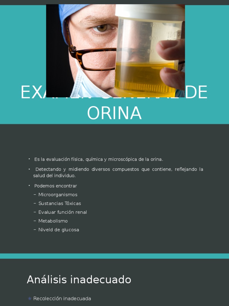 Examen General de Orina: Guía Completa | PDF | Riñón | Urología
