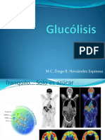 206_glucolisis