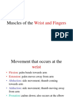 Muscles of the Wrist and Fingers DT