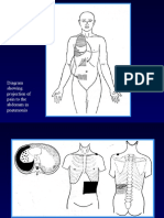 Diagram showing projection of abdominal pain