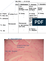 Histo Urogenital Tambahan-drSonny