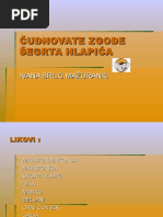 Cudnovate Zgode Segrta Hlapica