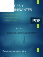 Matrices y Determinantes