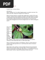 Is saluyot high in uric acid image