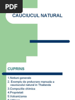 Cauciucul Natural Si Sintetic