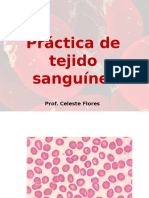 practica sangre.pptx